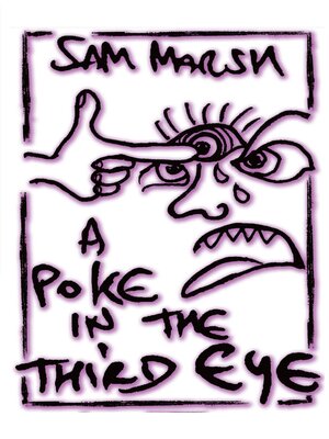 cover image of A Poke In the Third Eye